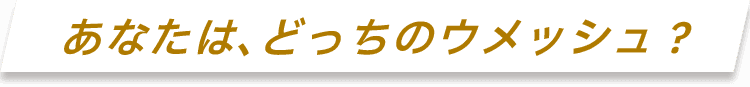 あなたがどっちのウメッシュ？