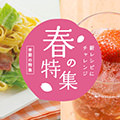 季節の特集レシピ