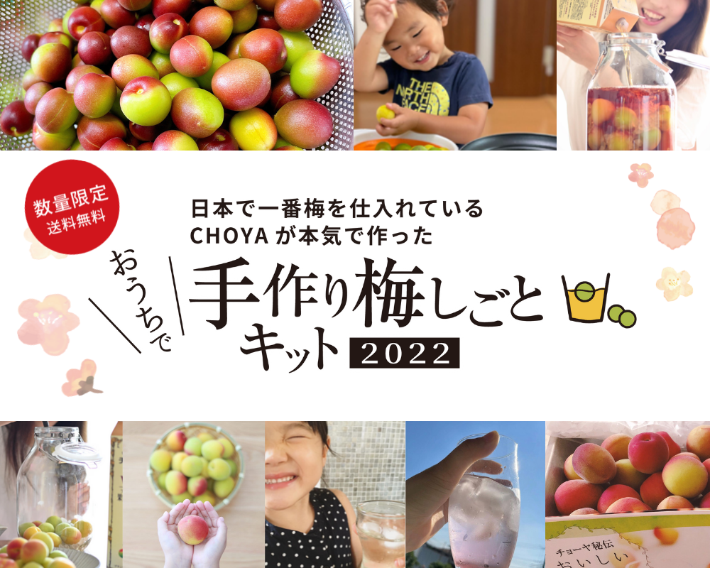 梅しごとキット