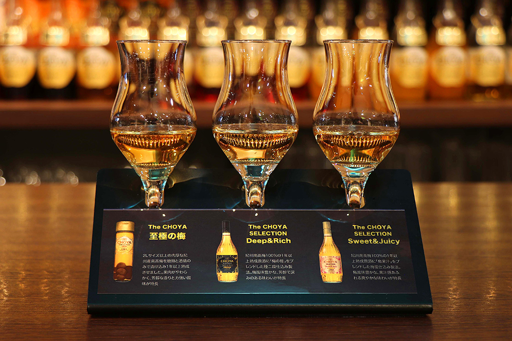 利き梅酒The CHOYA 至極のフライト 3種類