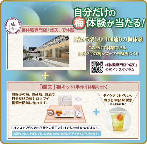 梅体験専門店「蝶矢」